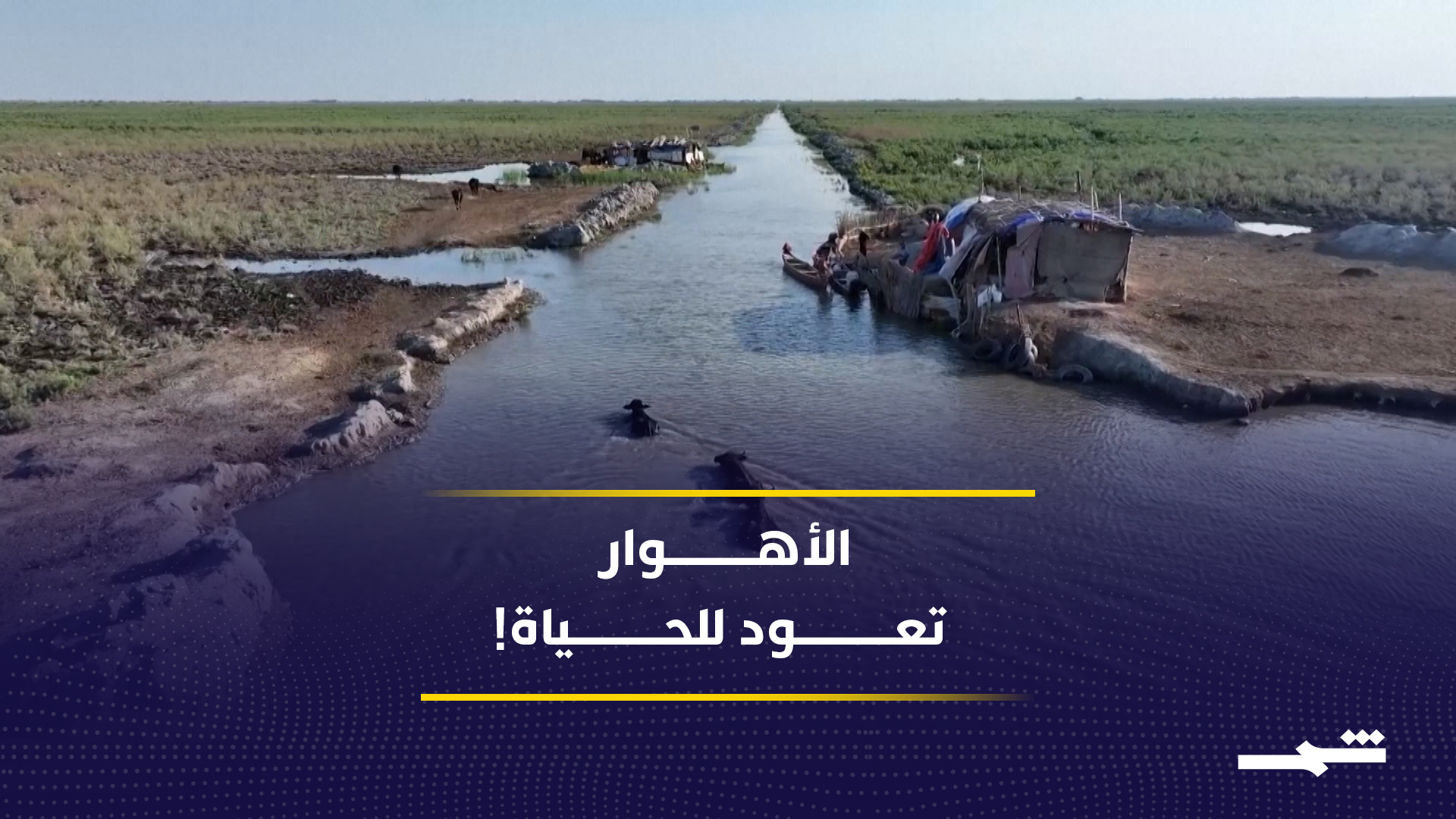 عودة الحياة إلى أهوار العراق.. المياه تنقذ القرى بعد سنوات الجفاف والنزوح2026-05-08