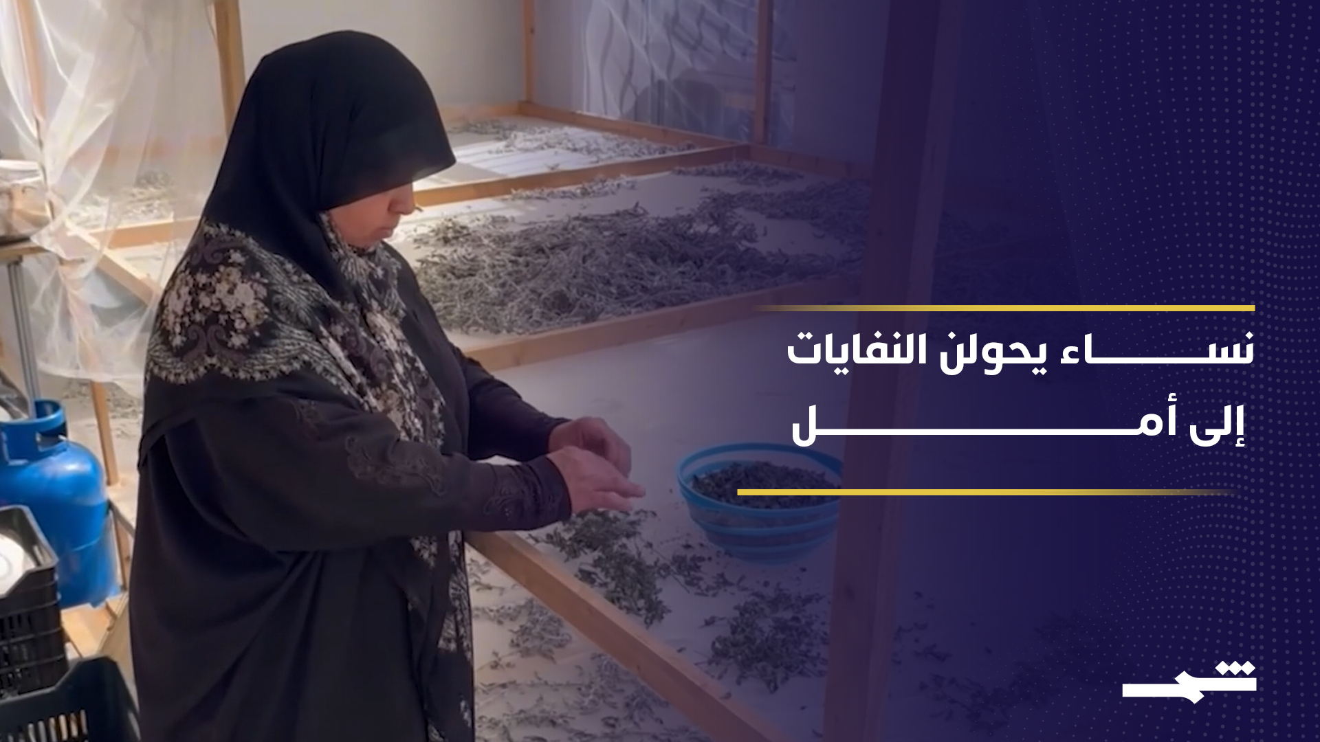 لبنان.. مبادرة زراعية تعيد الحياة للنازحات في قضاء صور 