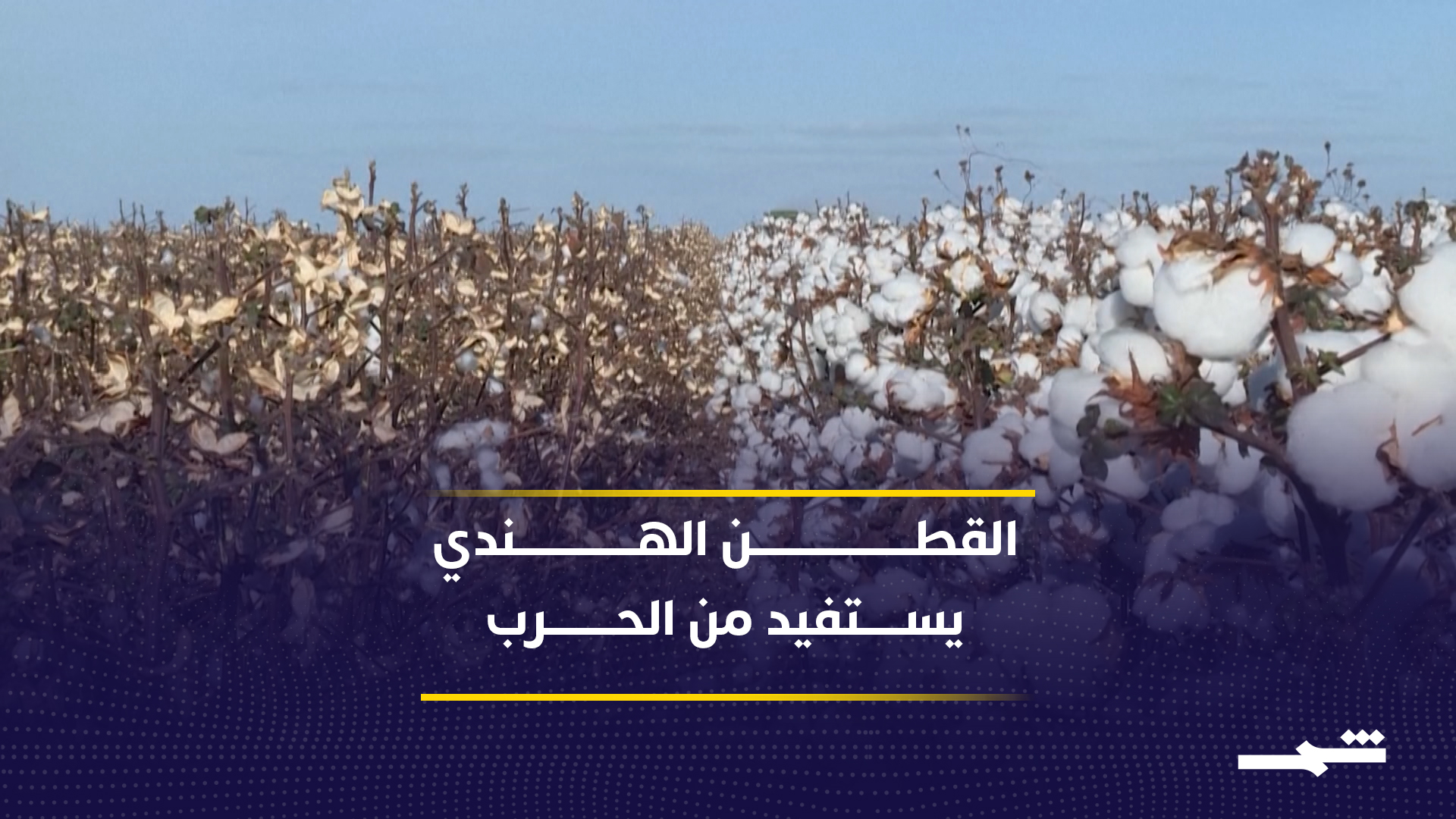 مصانع القطن الهندية تستفيد من الأزمة بطلب صيني قياسي