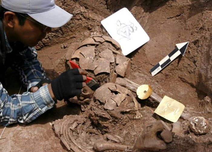 جمجمة عمرها مليون سنة توفر معطيات جديدة عن مراحل التطور البشري