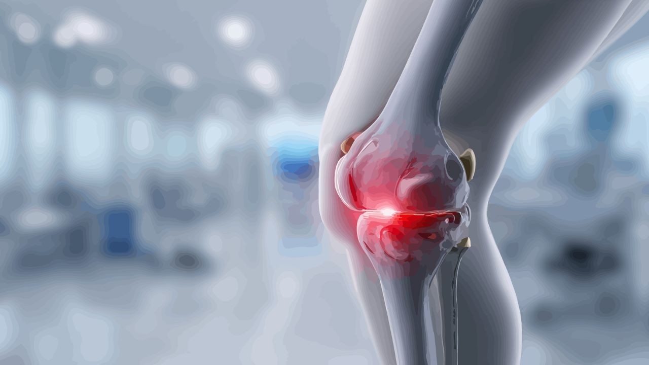 Stanford researchers identify 15-PGDH inhibitor to regenerate knee cartilage