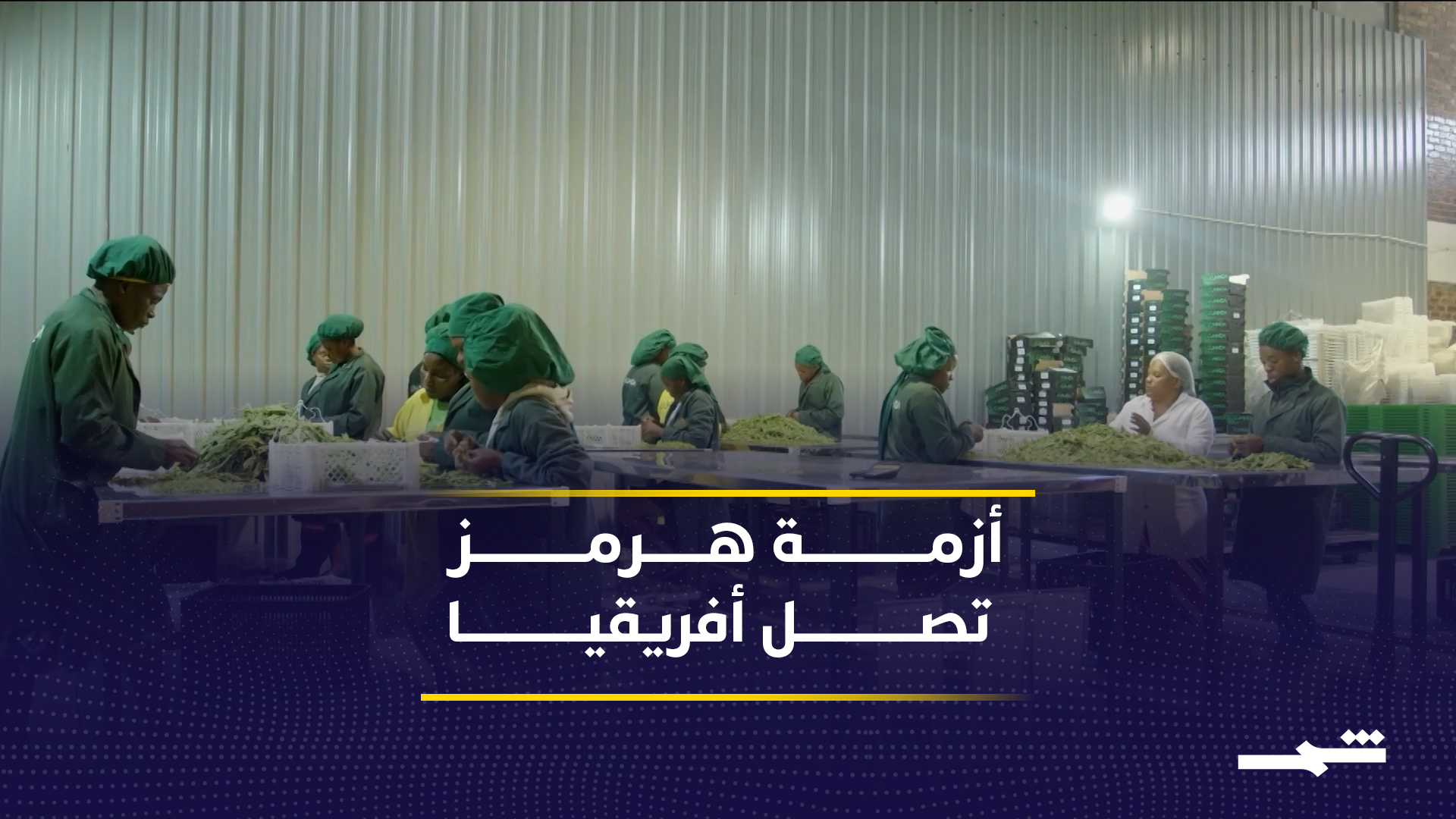 إغلاق مضيق هرمز يرفع كلفة الشحن ويضر مزارعي زيمبابوي